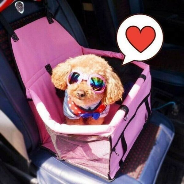 Premium Dog Car Seat